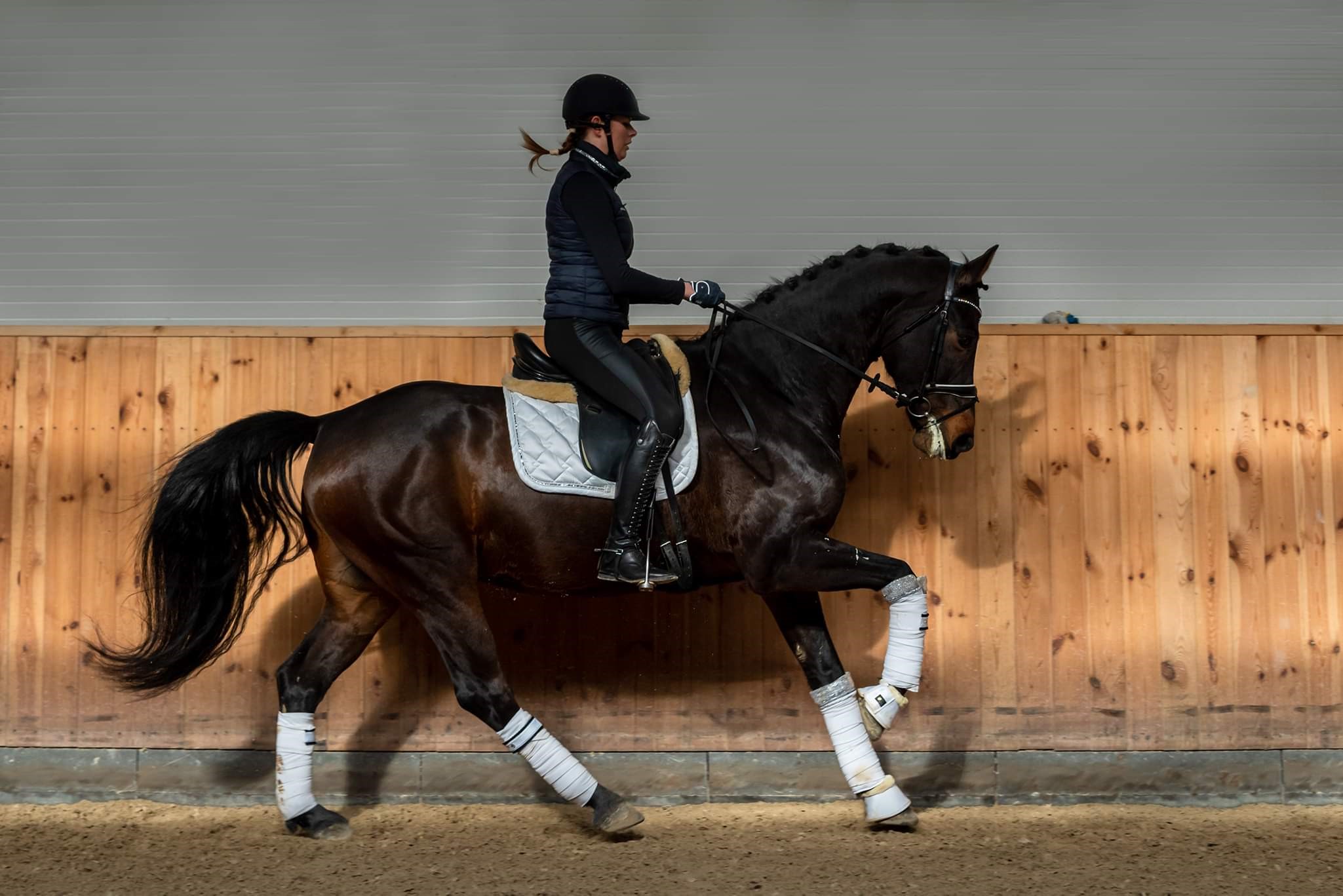 10 Reasons Why You Should Have A Membership With An Equine Solicitor